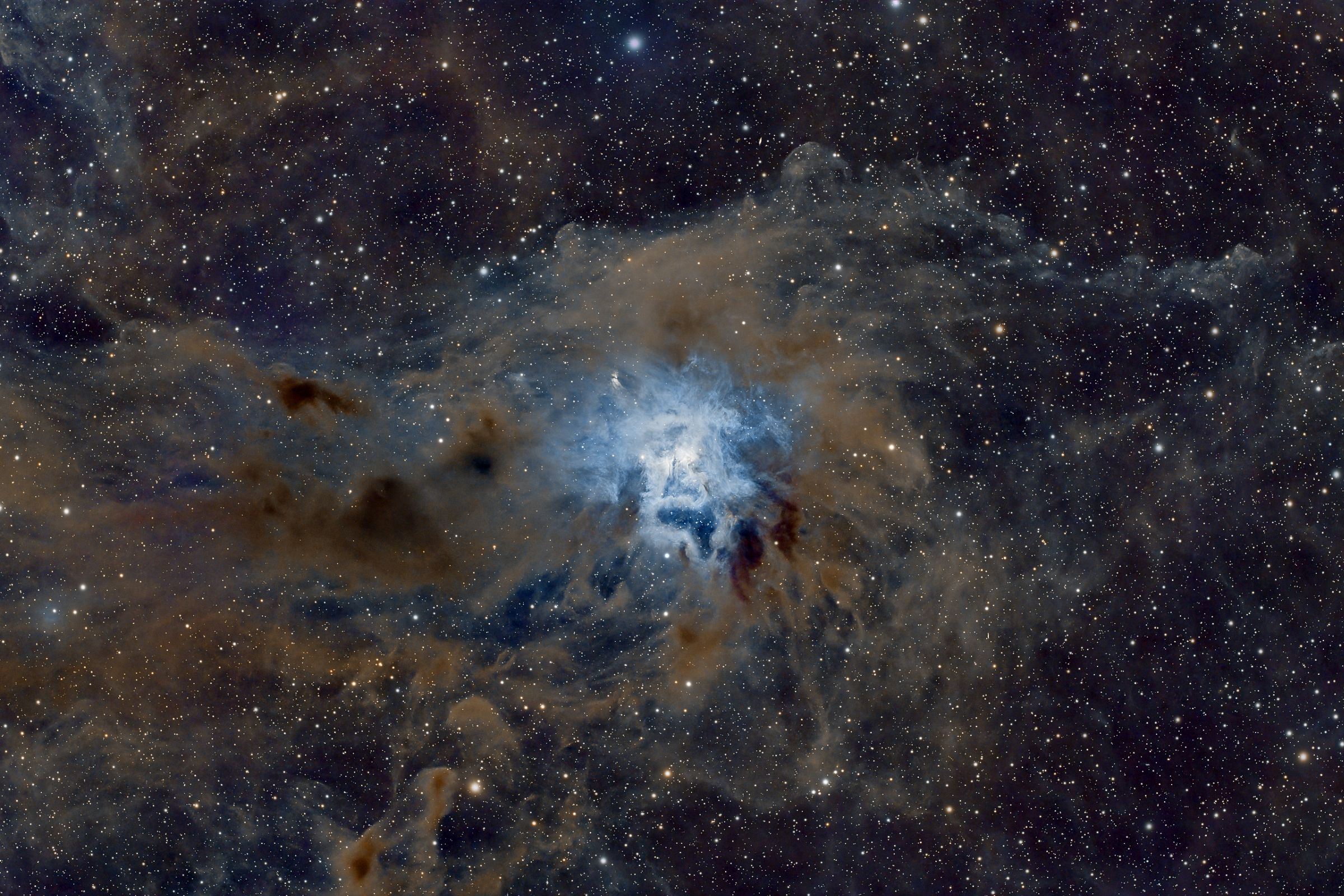 NGC 7023: The Iris Nebula
